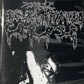 Pile Of Rot Artwork