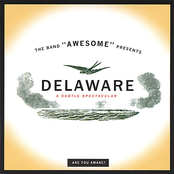 delaware - a subtle spectacular