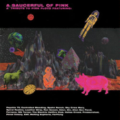 A Saucerful Of Pink - A Tribute To Pink Floyd