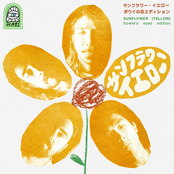 Sunflower (Yellow) - Bowie's Eyes Edition