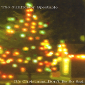 It's Christmas...Don't Be So Sad.