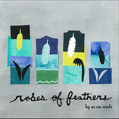 Robes of Feathers