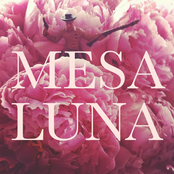 Shutting Down - Single