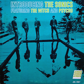 Maintaining My Cool by The Sonics