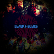 Whispers Beneath The Willows by The Black Hollies