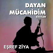 Dayan Mücahidim