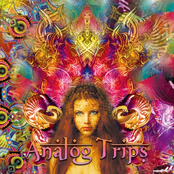 Analog Trips