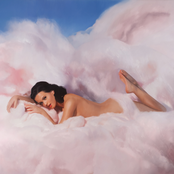 Katy Perry: Teenage Dream