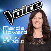 The Voice