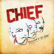 Trading Records For Hair Products by Chief