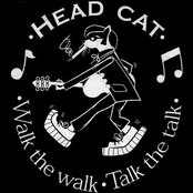 Headcat: Walk The Walk... Talk The Talk
