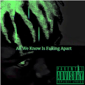 All We Know Is Falling Apart