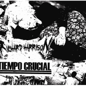 Split w/ Tiempo Crucial