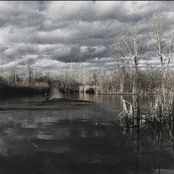 Possum Belly: Heads and Tails