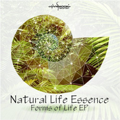 Forms of Life EP