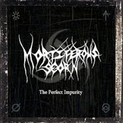 The Perfect Impurity