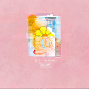 No Rain. No Flowers.