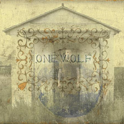 One Wolf