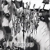 Welcome to the Wildy