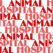 Animal Hospital Demos Vol!