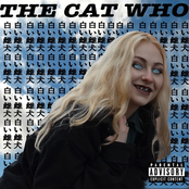 the cat who came for tea