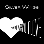 What About Love / In the Night 7"