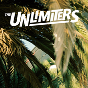 Robber In The House by The Unlimiters