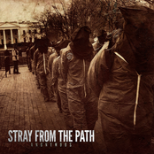 Tell Them I'm Not Home by Stray From The Path