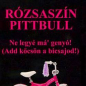 Ne legyé má' genyó!