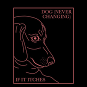 Dog (Never Changing)