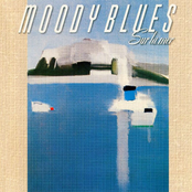 Breaking Point by The Moody Blues