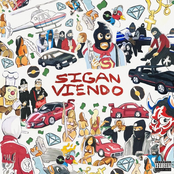SIGAN VIENDO