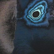 Tyrannosaurus Rex Xylophone