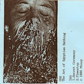 The Art of Egyptian Bathing