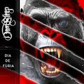 Dia de Fúria