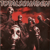 totalschaden