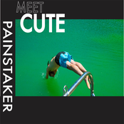 Meet Cute: Painstaker