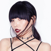 dami im