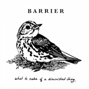 What to Make of a Diminished Thing