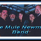 the mule newman band