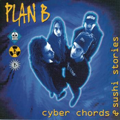 Skip The Instructions by Plan B