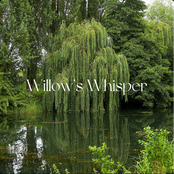 Willow's Whisper