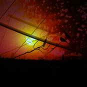 bacillus anthracis and the melancholy of it all