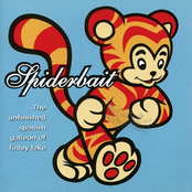 I Gotta Know by Spiderbait