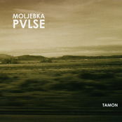 In Dust And Ashes by Moljebka Pvlse