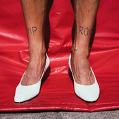 Alligator Wet Dreams