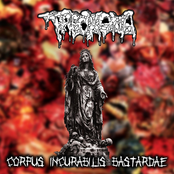 Corpus Incurabilis Bastardae