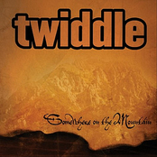 Twiddle: Somewhere On the Mountain