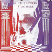 white rainbow & stag hare