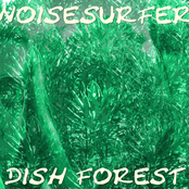 Dish Forest